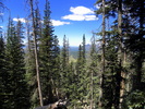 photo thumbnail #9