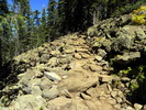 photo thumbnail #10