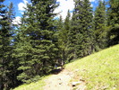 photo thumbnail #12