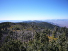 photo thumbnail #11