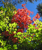 photo thumbnail #9