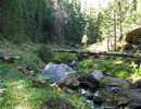 photo thumbnail #7