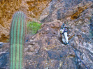 photo thumbnail #11