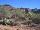 photo thumbnail #2