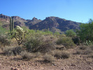 photo thumbnail #3