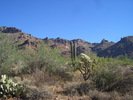 photo thumbnail #4