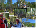 photo thumbnail #4