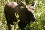 photo thumbnail #9