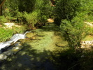 photo thumbnail #11