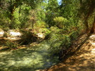 photo thumbnail #12