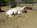photo thumbnail #14