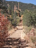 photo thumbnail #1