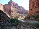 photo thumbnail #14