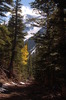 photo thumbnail #12