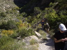 photo thumbnail #10