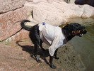 photo thumbnail #1
