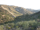 photo thumbnail #1