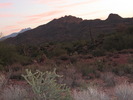photo thumbnail #1