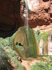 photo thumbnail #6