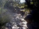 photo thumbnail #14