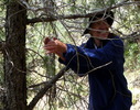 photo thumbnail #6