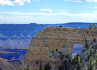 Featured Full Photo