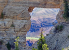 Featured Detail Photo