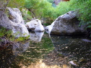 photo thumbnail #11