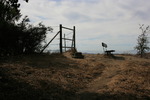 photo thumbnail #4