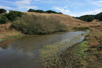 photo thumbnail #12