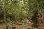 photo thumbnail #13