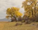 Featured Full Photo
