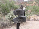 photo thumbnail #12
