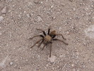 photo thumbnail #14