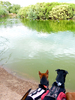 photo thumbnail #6