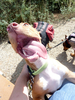 photo thumbnail #9