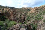 photo thumbnail #5