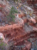 photo thumbnail #9