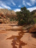photo thumbnail #14