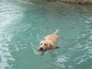 photo thumbnail #6