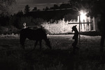 photo thumbnail #4