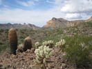 photo thumbnail #1