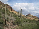 photo thumbnail #3
