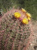 photo thumbnail #9