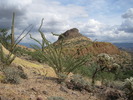 photo thumbnail #12