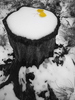photo thumbnail #15
