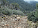 photo thumbnail #2
