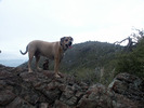photo thumbnail #8