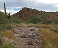 photo thumbnail #1
