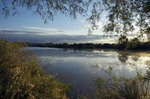 photo thumbnail #1